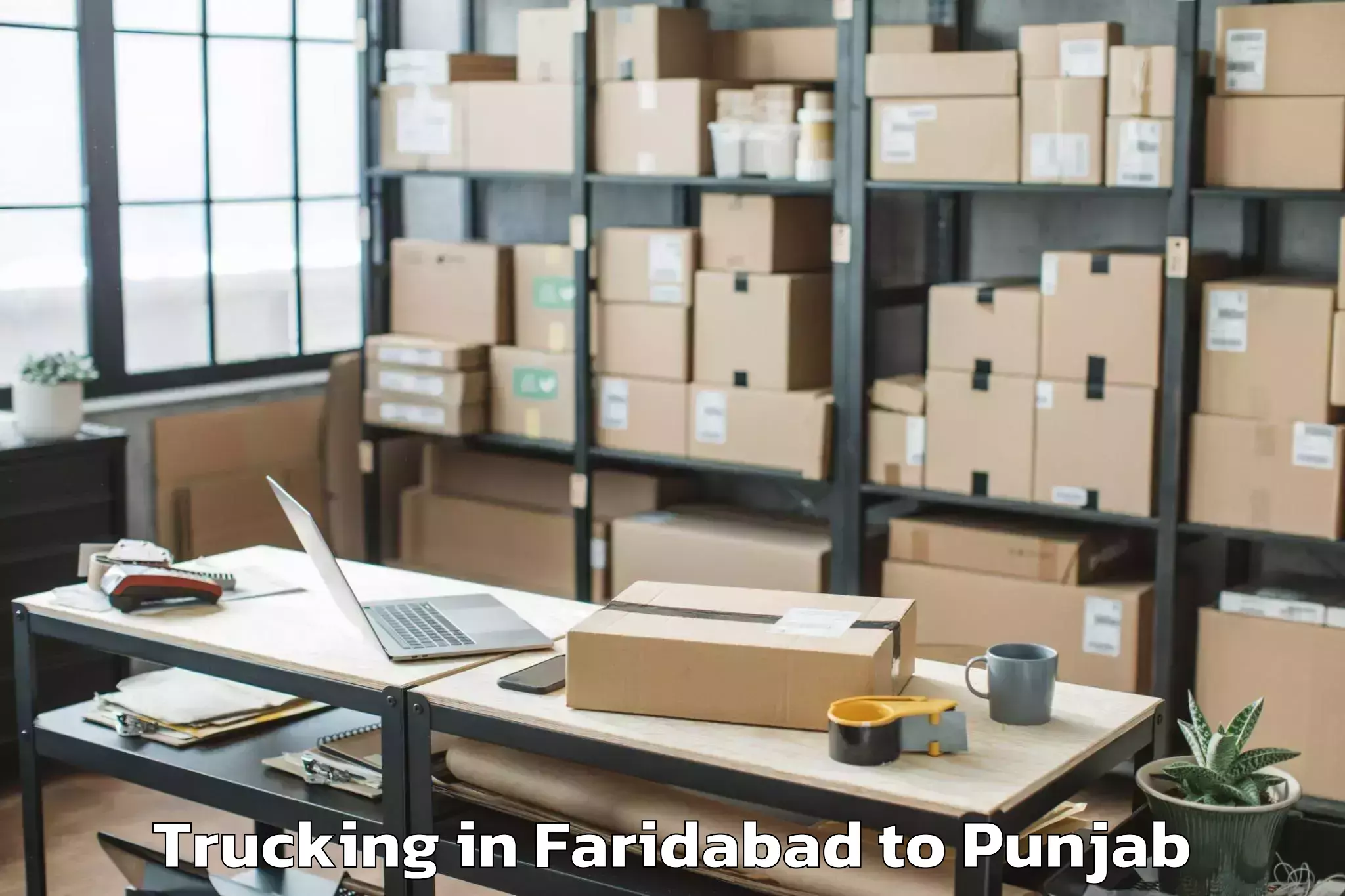 Affordable Faridabad to Ludhiana West Trucking